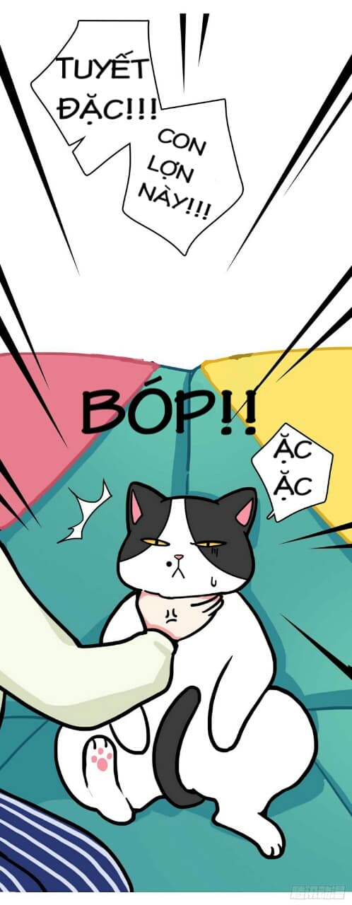 Hello Dư Tuyết Đặc: Chapter 1