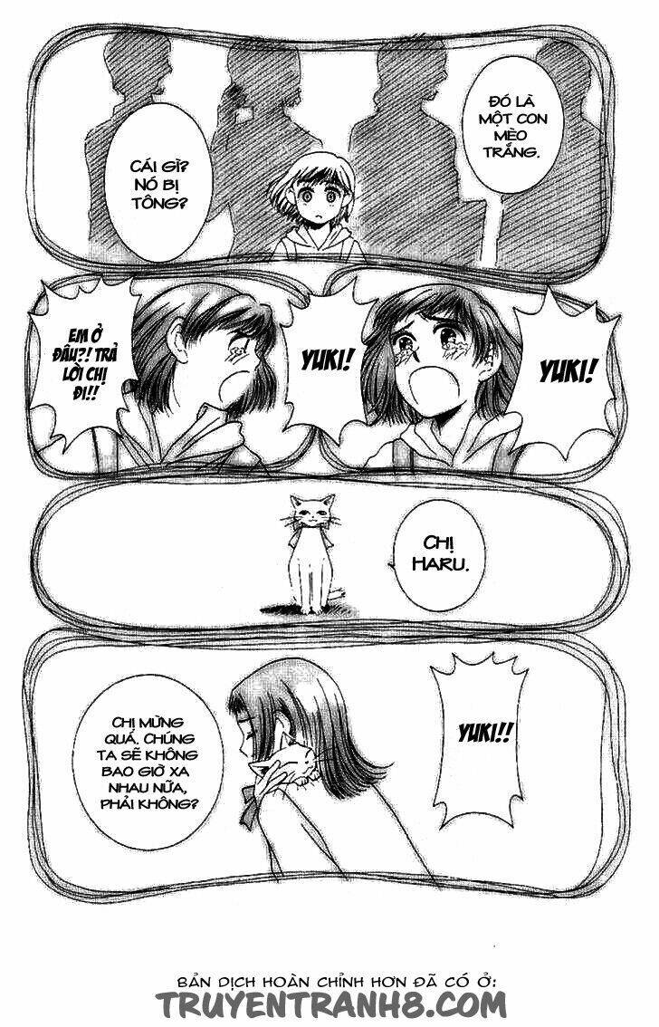 Lời Thì Thầm Từ Trái Tim: Chapter 8