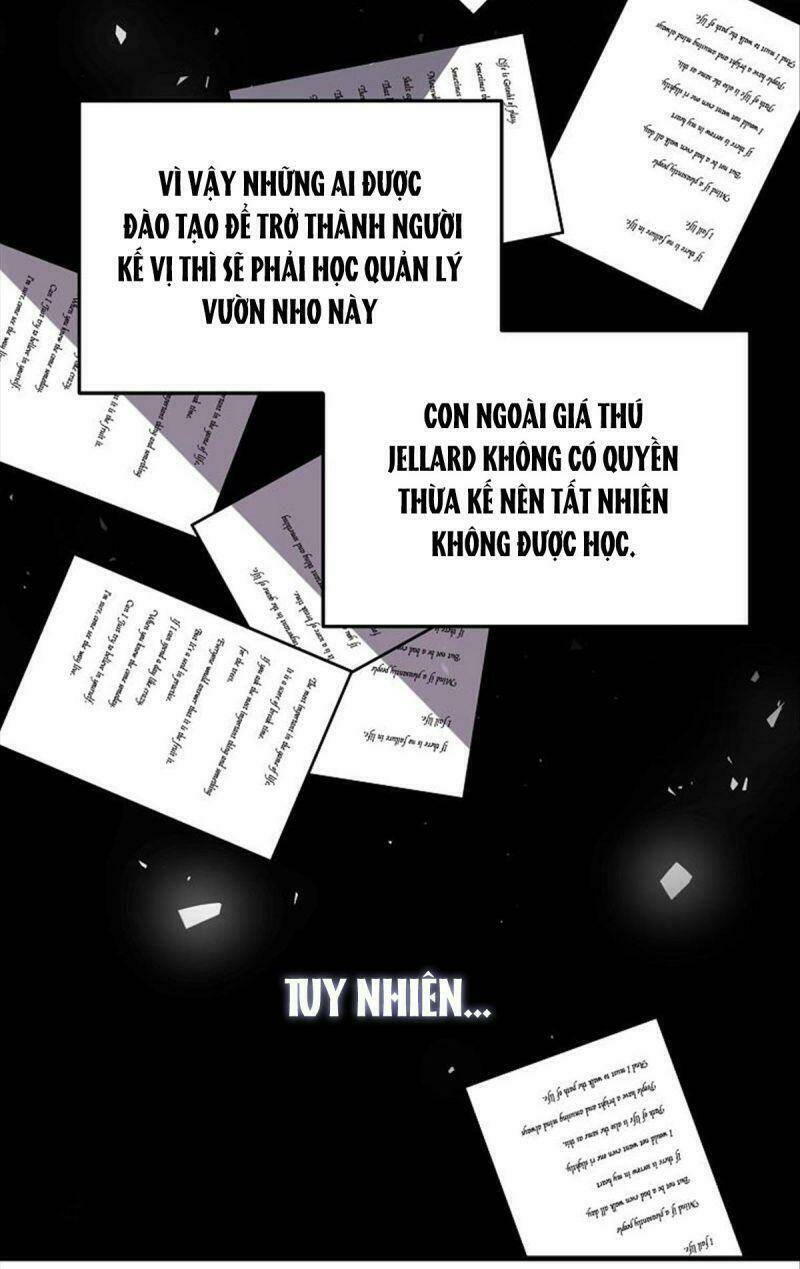 Hôn Phu Của Tôi Là Nam Chính Yandere: Chapter 8