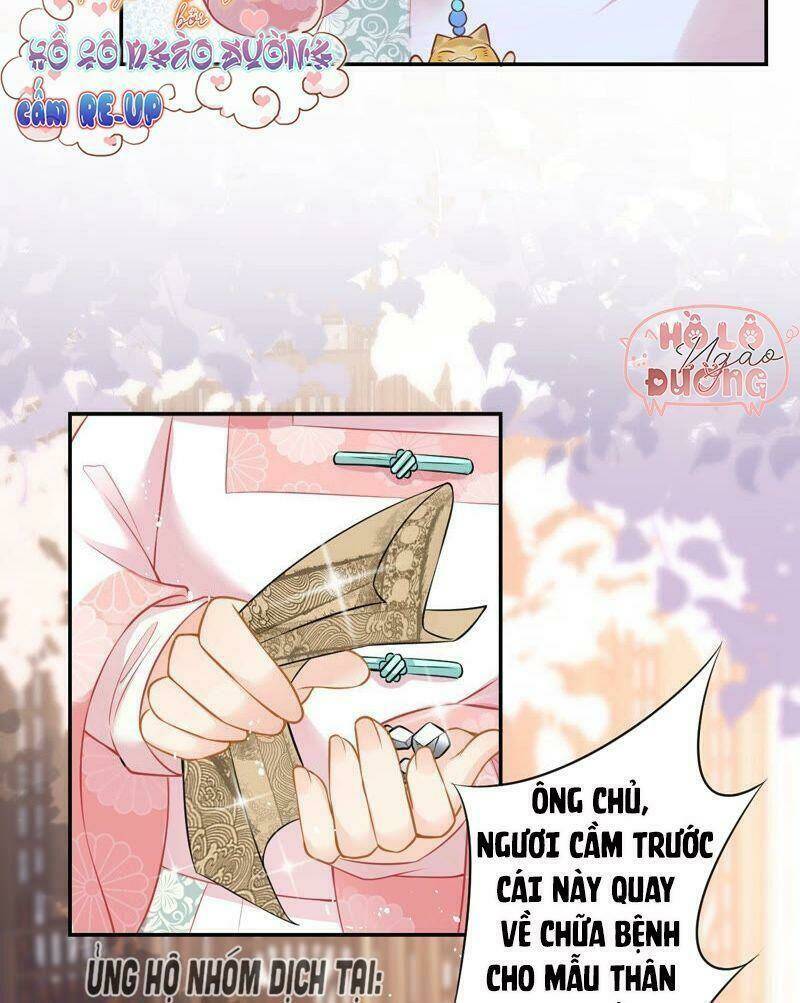 Quận Chúa Vững Vàng, Thiết Lập Nhân Vật Không Thể Vỡ: Chapter 17