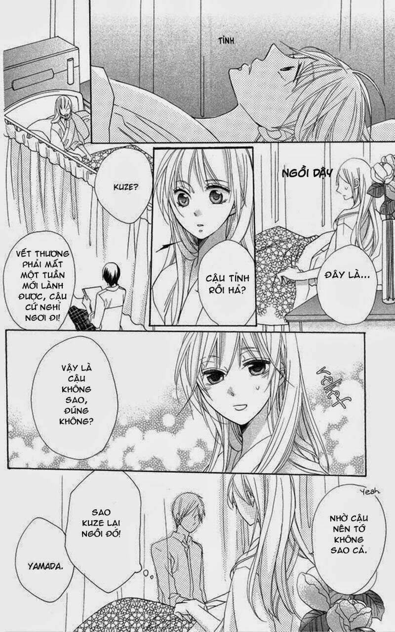 Hoa Hồng Hoang Dã: Chapter 7