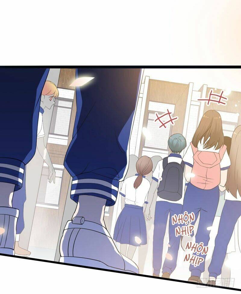 Thư Tay Tình Yêu Của Sơ Hạ: Chapter 1