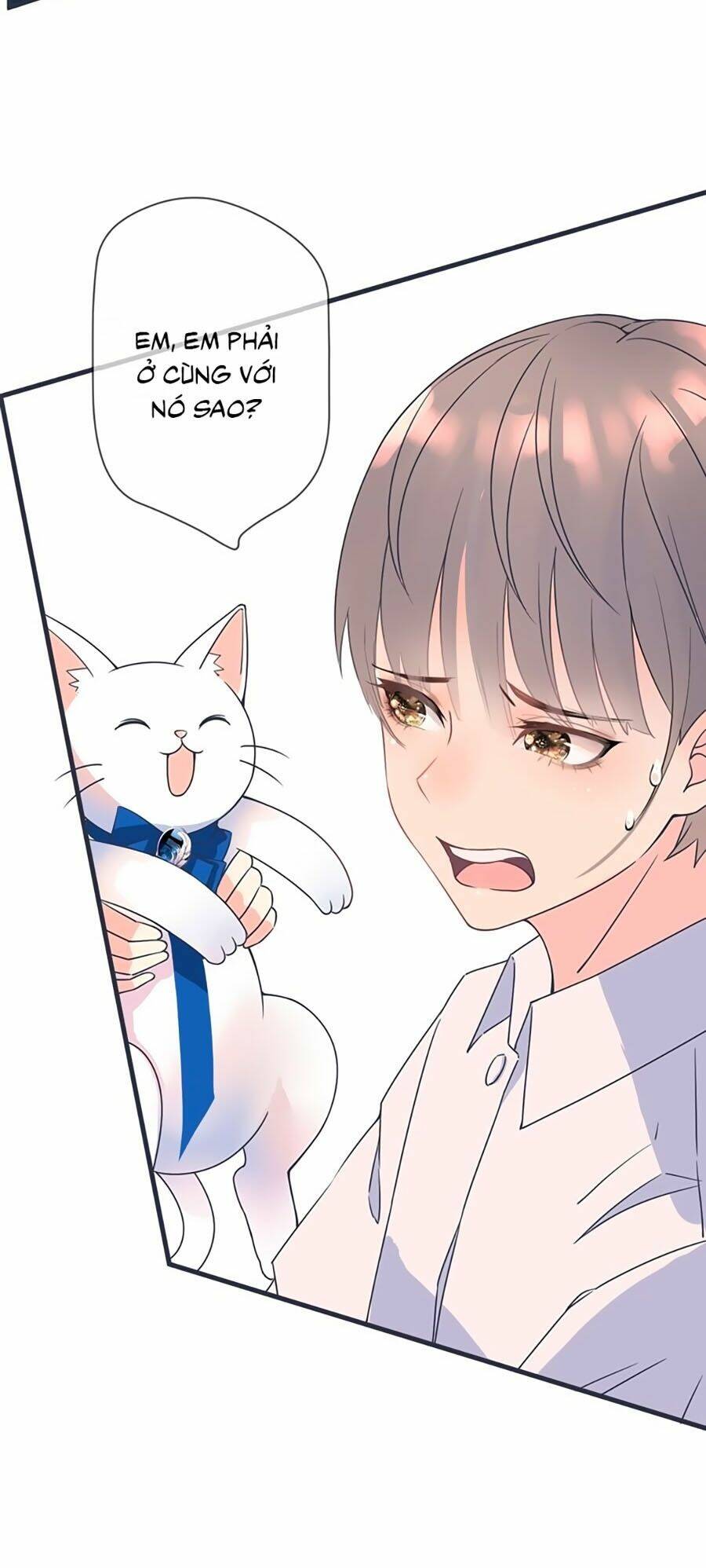 Quang Chi Vũ: Chapter 2.2