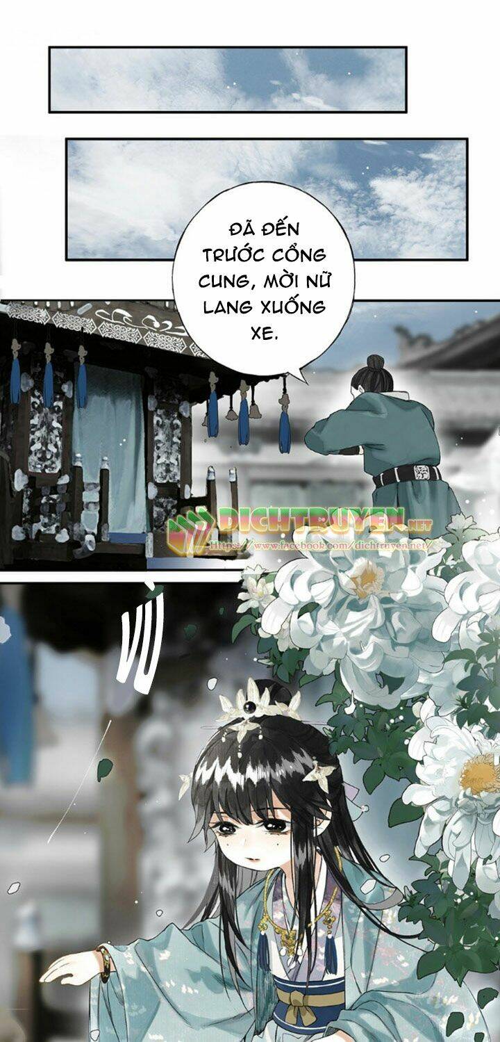 Lưu Hoa Bất Cập Xuân: Chapter 8