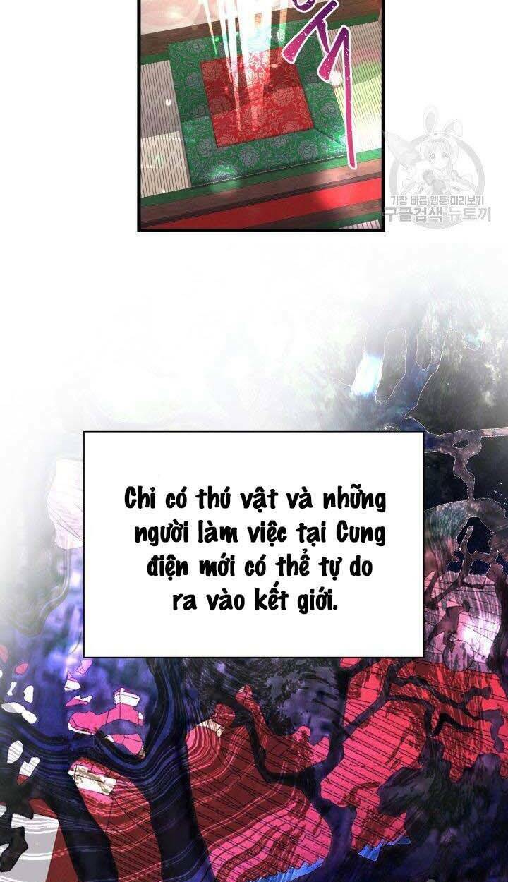 Cô Dâu Của Sói Đen: Chapter 4