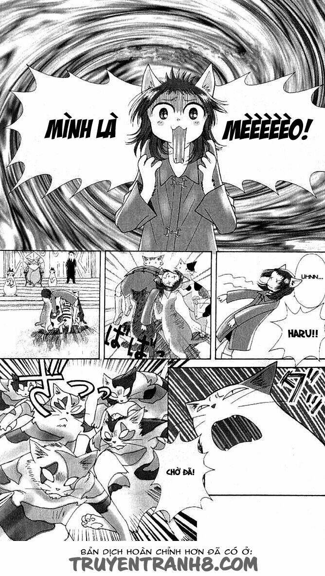 Lời Thì Thầm Từ Trái Tim: Chapter 9