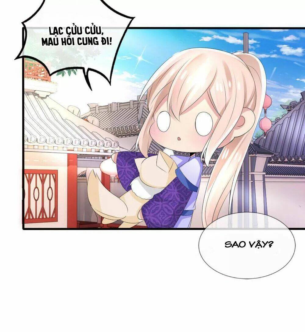 Kế Hoạch Sủng Ái Của Tiểu Công Chúa: Chapter 41