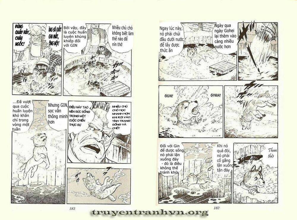 Chú Chó Có Nghĩa - Ginga Nagareboshi Gin: Chapter 4