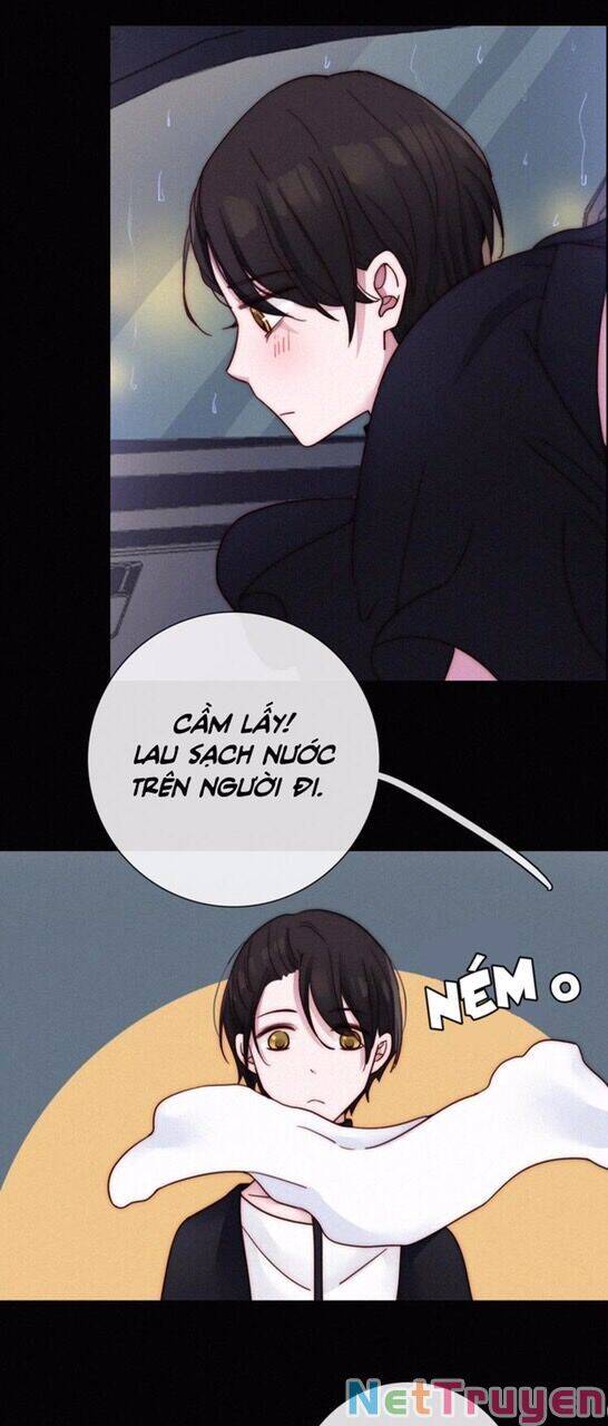 Hắc Dạ Hữu Sở Tư: Chapter 50.1