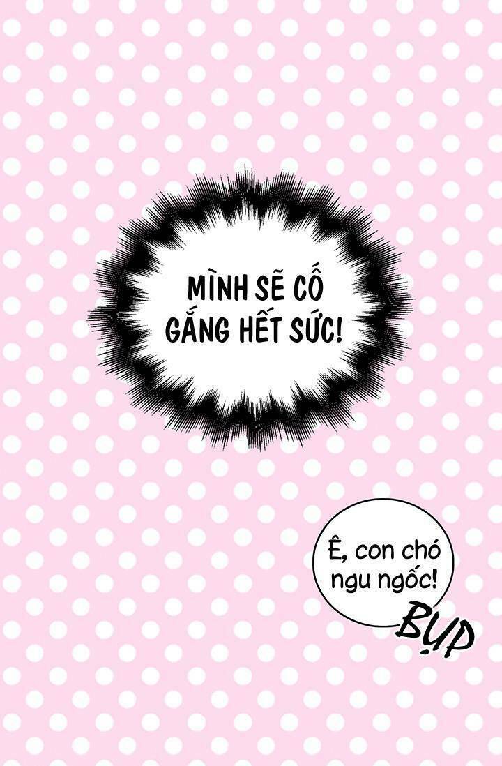 Cô Dâu Của Miêu Hoàng Tử: Chapter 3