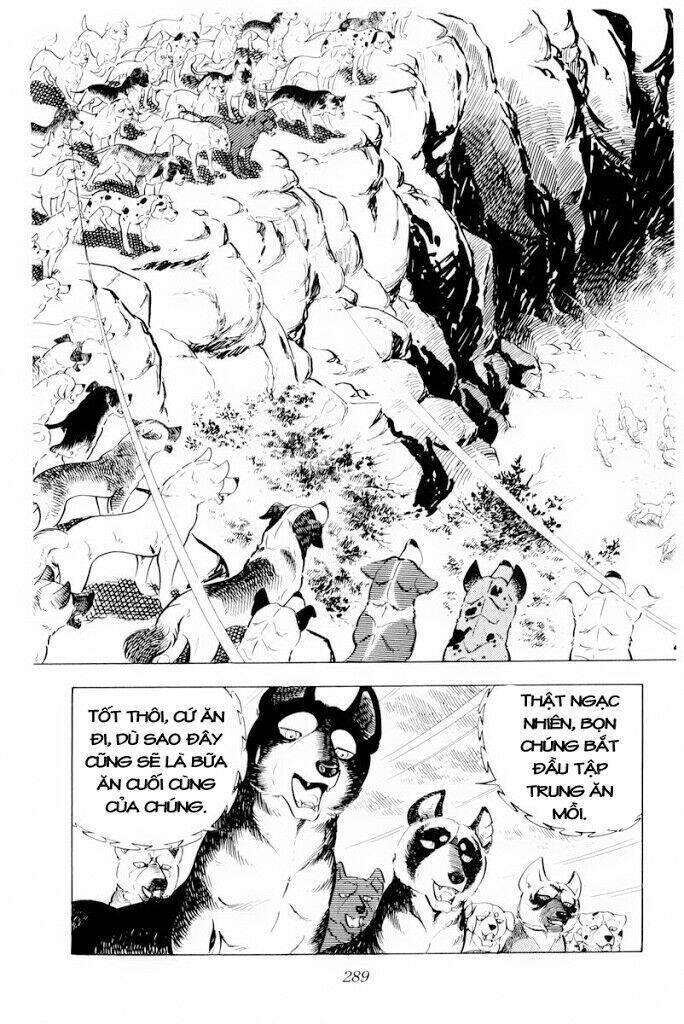 Chú Chó Có Nghĩa - Ginga Nagareboshi Gin: Chapter 30.2