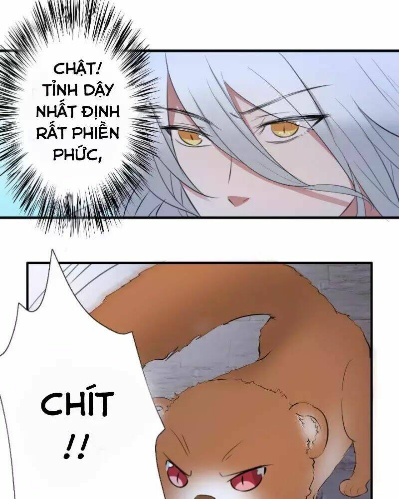 Hành Trình Sủng Đế Cơ: Chapter 1