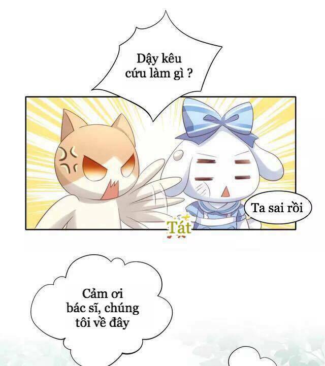Dưới Móng Vuốt Mèo: Chapter 15