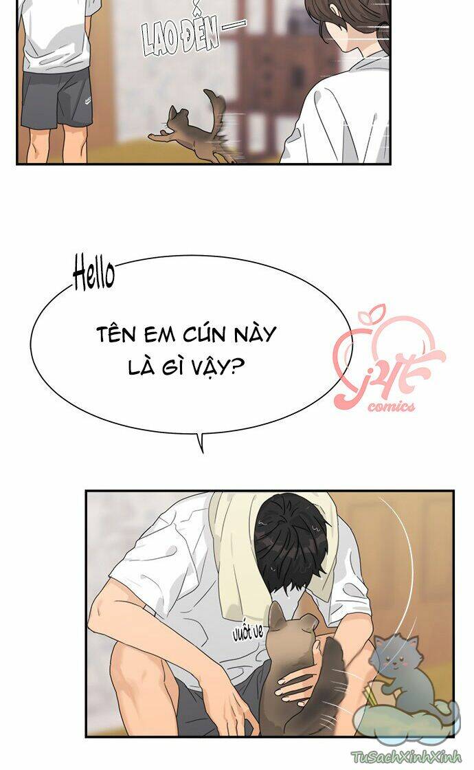 Phải Lòng Oan Gia: Chapter 96