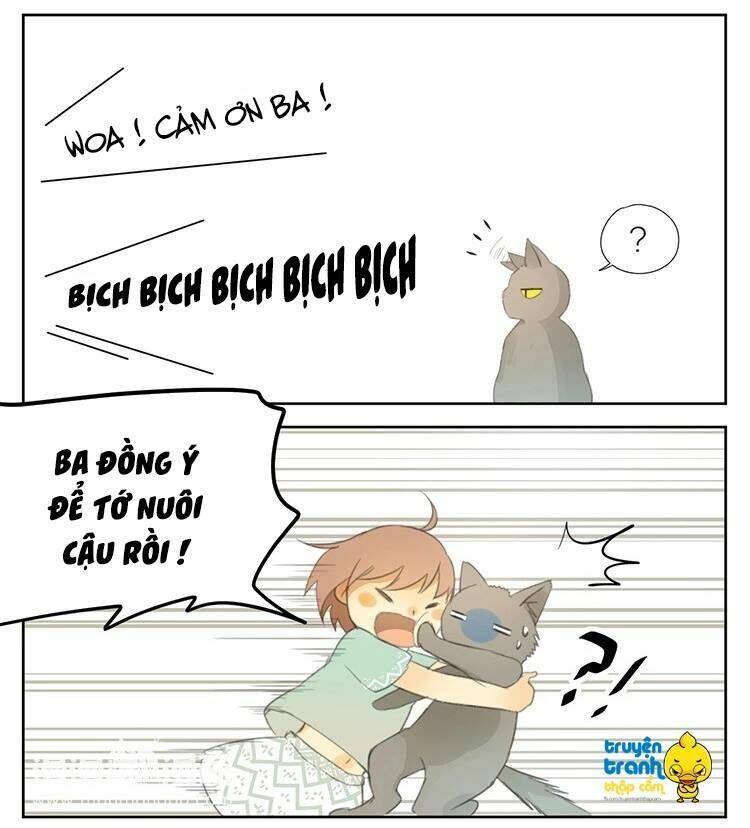 Cứu Mạng! Loài Mèo Thống Trị Thế Giới Rồi!: Chapter 24