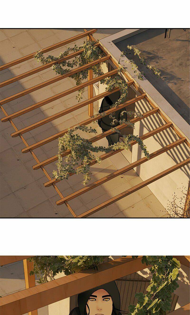 Nửa Đêm Ở Poppy Land: Chapter 33