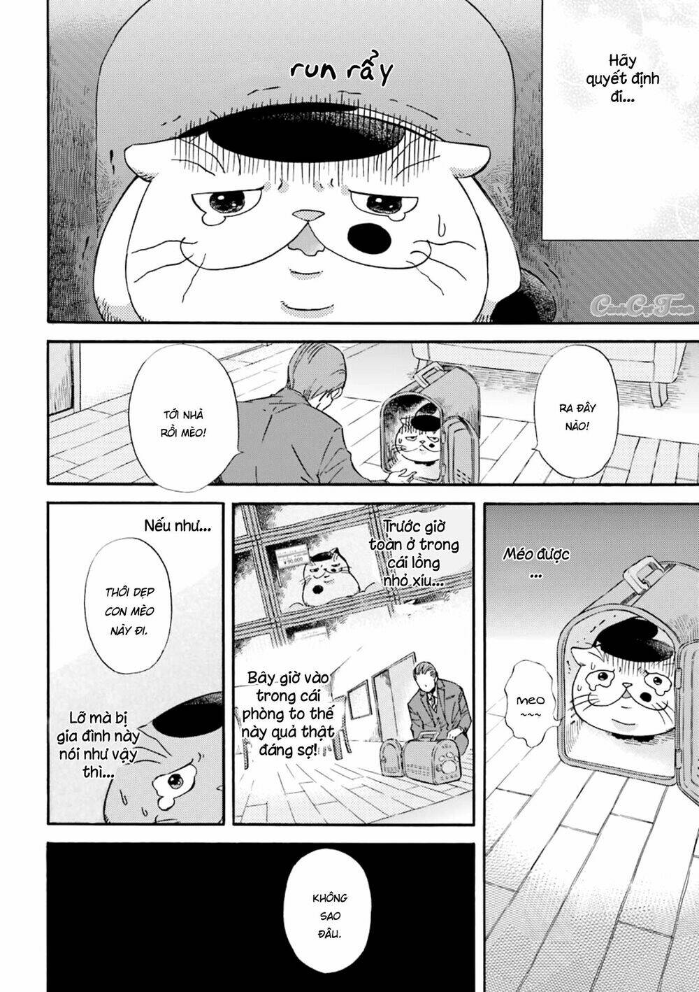 Ông Chú Và Con Mèo Mặt Bựa: Chapter 3