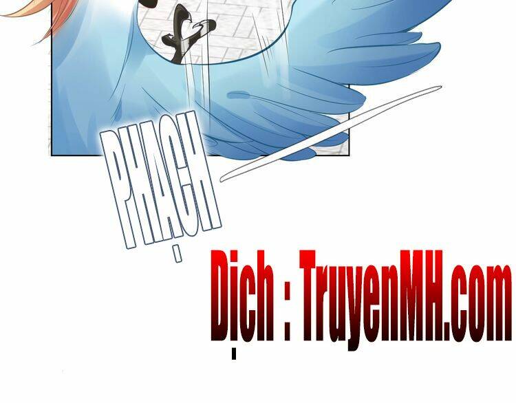 Nhất Sinh Nhất Thế Tiếu Thương Khung: Chapter 6