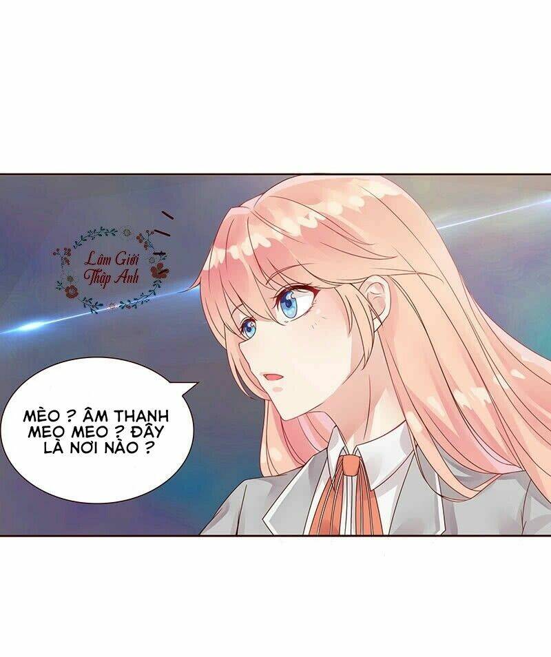 Băng Sơn Học Trưởng Không Được Chọc: Chapter 1.1