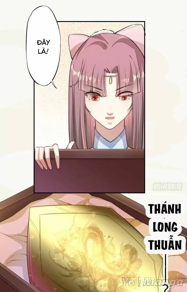 Tuyệt Thế Luyện Đan Sư: Chapter 51