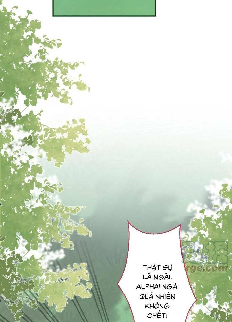 Xuyên Không Đến Thế Giới Trở Thành Đóa Hoa Của Anh: Chapter 49