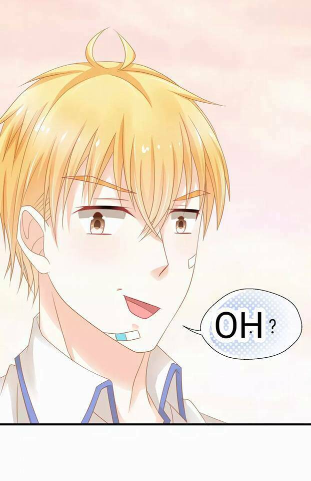 Điệp Hóa: Chapter 1.5