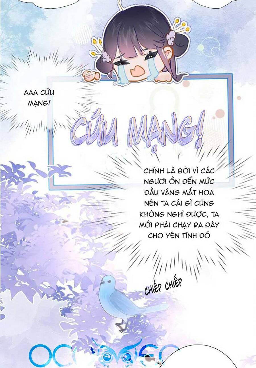 Hoa Để Nhân Gian Ức Vạn Thế: Chapter 1