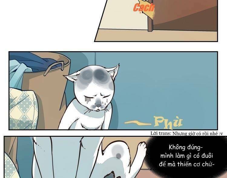 Thời Khắc Ấy, Chúng Ta Gặp Nhau: Chapter 5