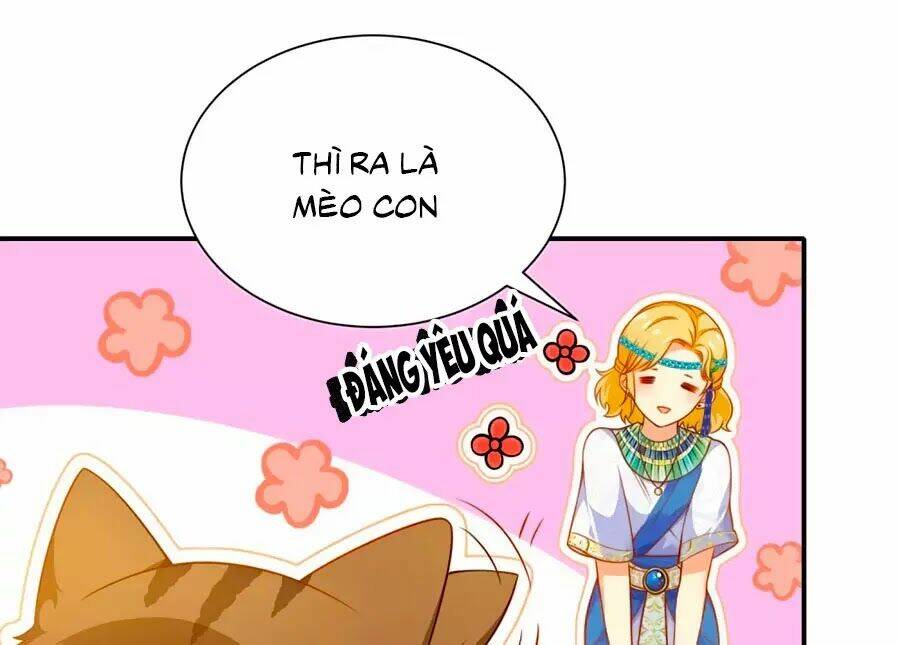 Sủng Hậu Của Vương: Chapter 6