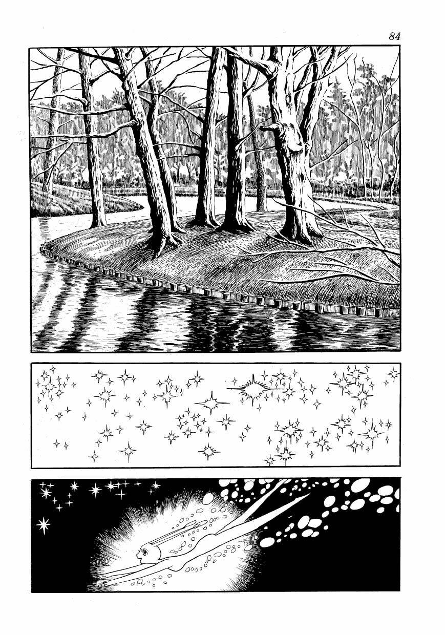 Chim Lửa: Chapter 55