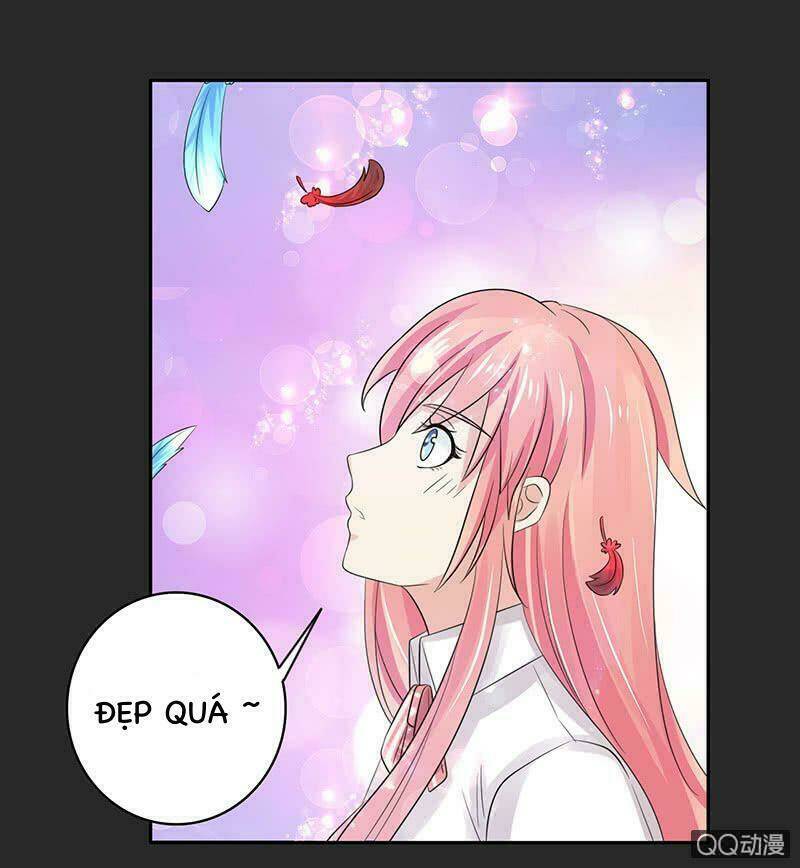 Băng Sơn Học Trưởng Không Được Chọc: Chapter 52.1