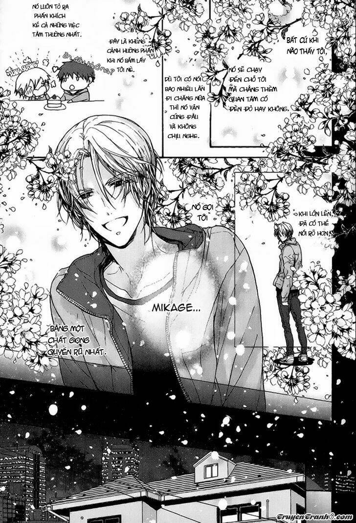 Kyoudai No Rule: Chapter 2