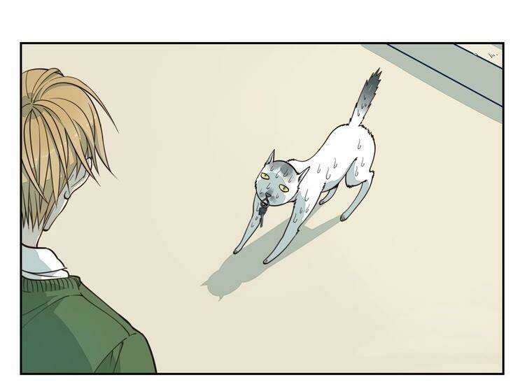 Thời Khắc Ấy, Chúng Ta Gặp Nhau: Chapter 2