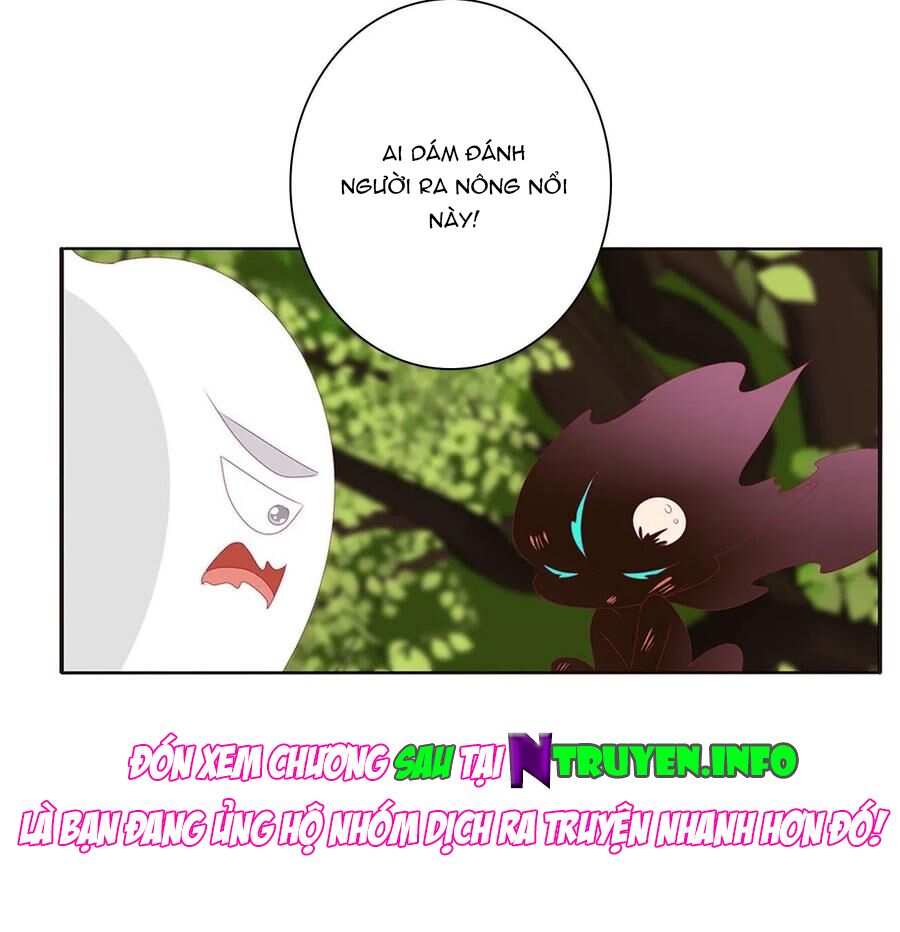 Thông Linh Phi: Chapter 643