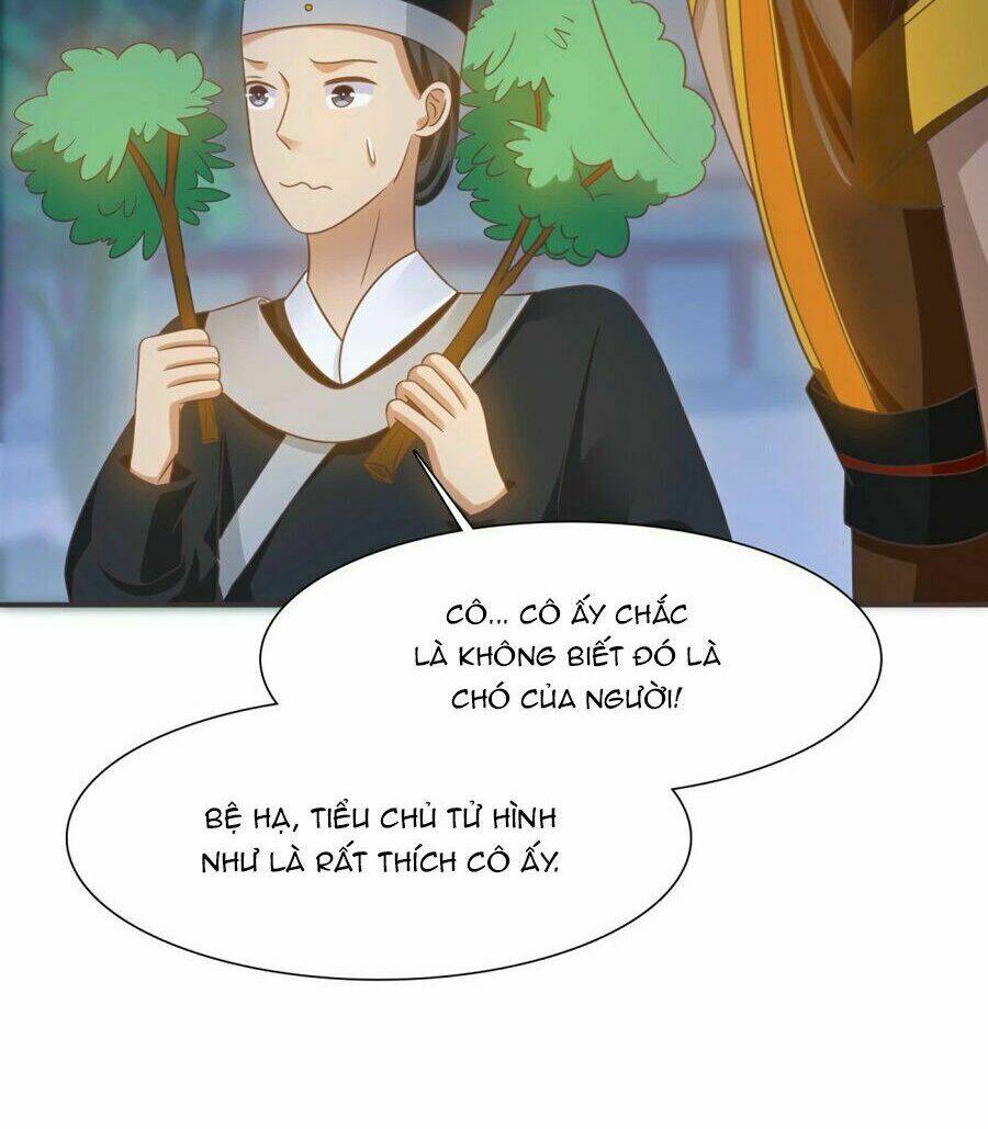 Phú Bà Bạc Tỷ Trong Lãnh Cung: Chapter 4