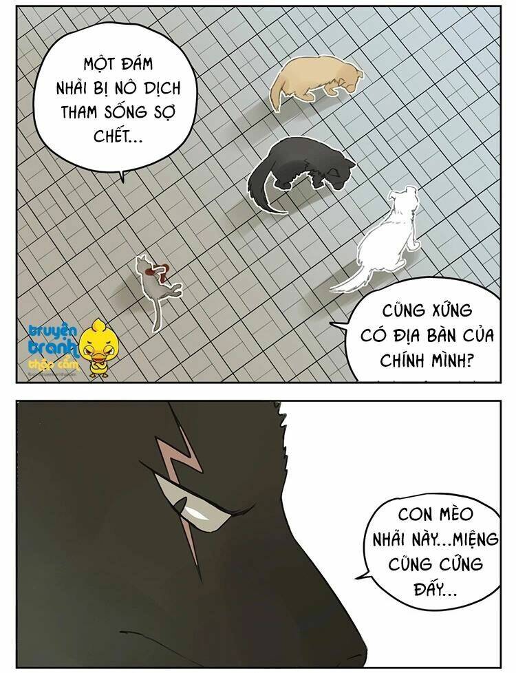 Cứu Mạng! Loài Mèo Thống Trị Thế Giới Rồi!: Chapter 25
