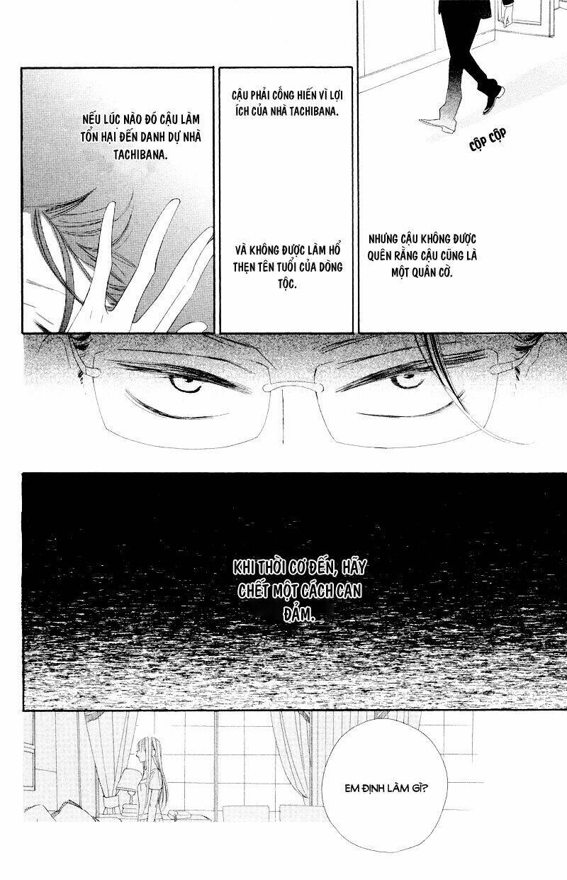 Hoa Trong Bão: Chapter 7