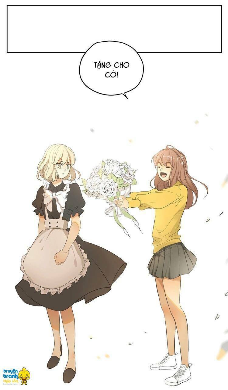 Cứu Mạng! Loài Mèo Thống Trị Thế Giới Rồi!: Chapter 17
