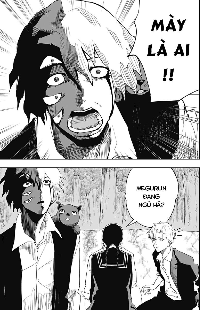 Stage S: Chapter 8
