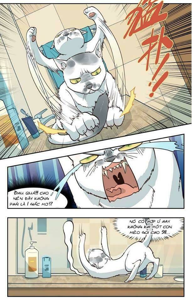 Thời Khắc Ấy, Chúng Ta Gặp Nhau: Chapter 2