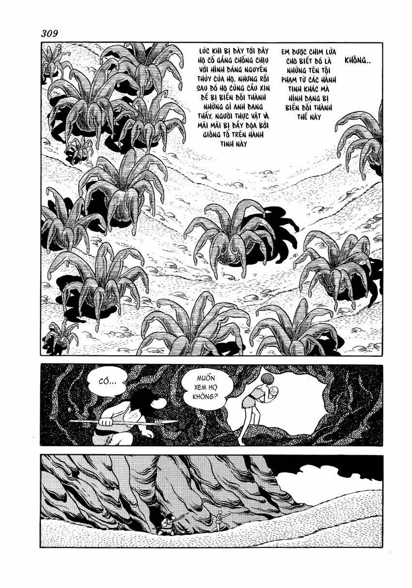 Chim Lửa: Chapter 43