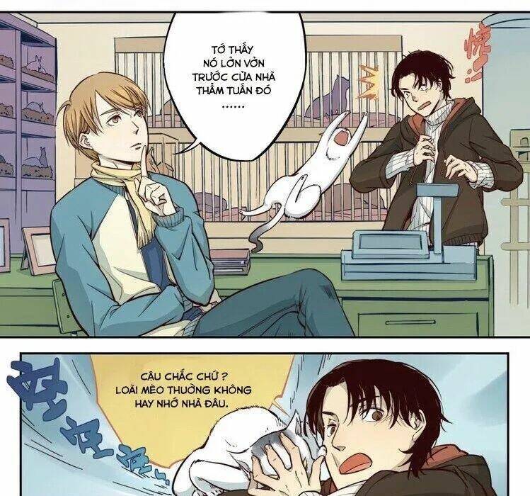 Thời Khắc Ấy, Chúng Ta Gặp Nhau: Chapter 11