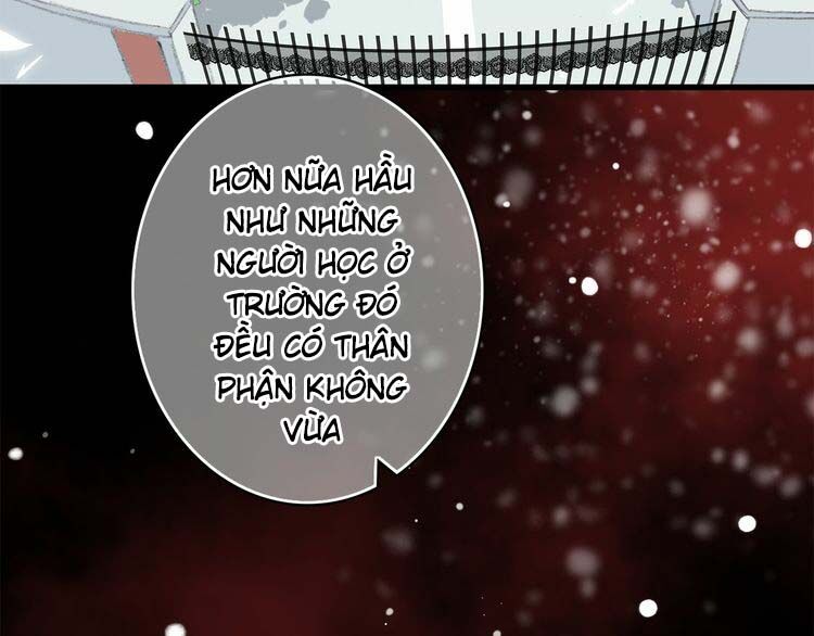Con Tim Rung Động: Chapter 15
