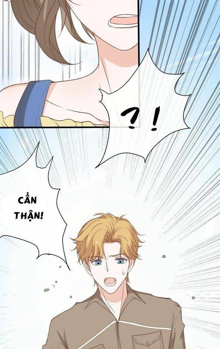 Thập Nhị Hắc Miêu: Chapter 12