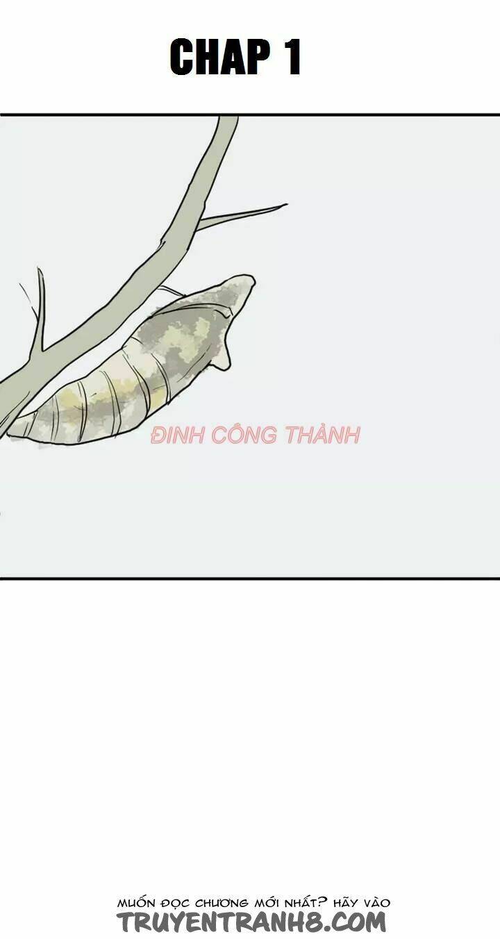 Nhộng: Chapter 1