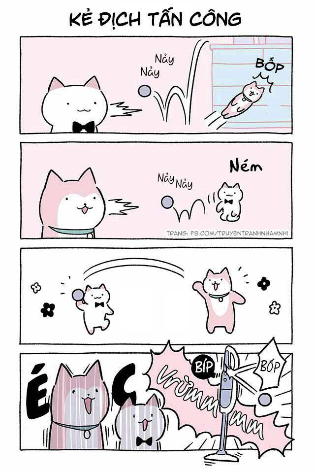 Chú Mèo Kỳ Diệu Kyuu-Chan: Chapter 446