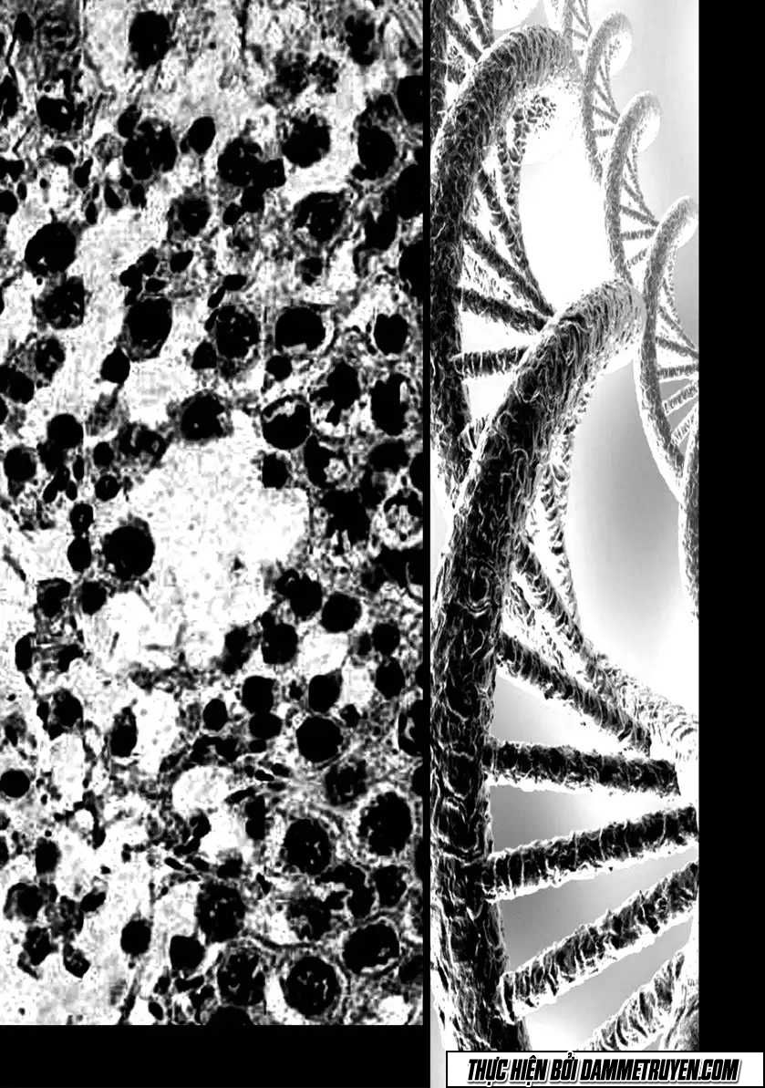 Thiên - Nhân Thống Nhất: Chapter 63