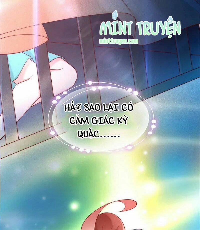 Nam Thần Truy Thê Chỉ Nam: Chapter 112.2