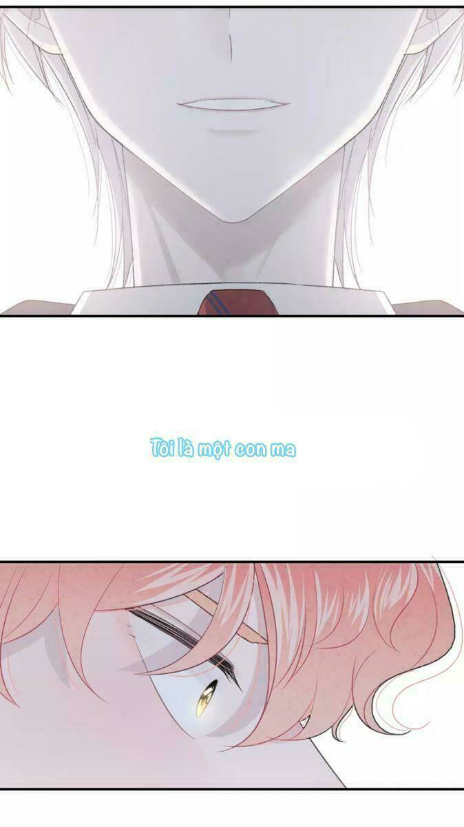 Từ Cái Nhìn Của Em: Chapter 22