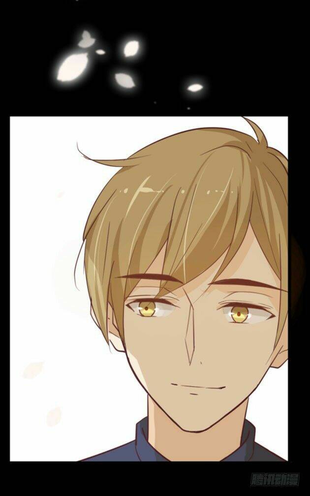 Hoa Anh Đào Rơi Đẹp Như Em: Chapter 0